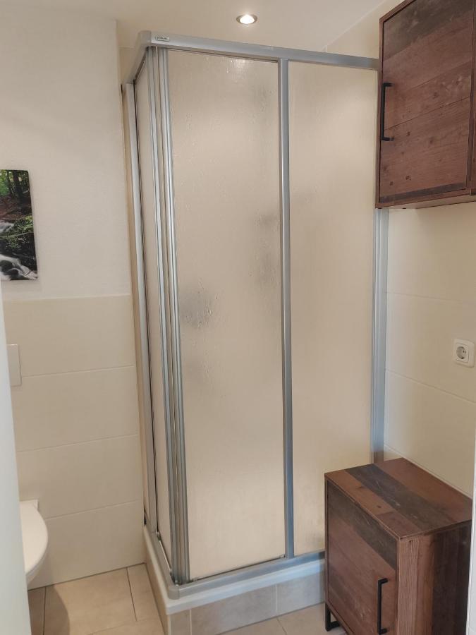 Ferienwohnung Elbtraum 皮尔纳 外观 照片
