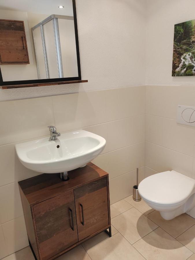 Ferienwohnung Elbtraum 皮尔纳 外观 照片